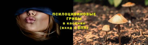 мдпв Богданович