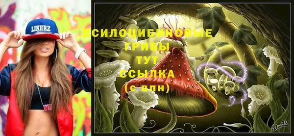 мескалин Богородск