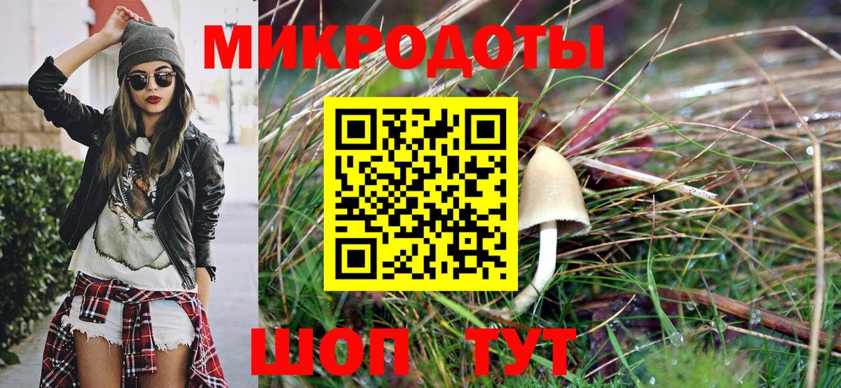 Псилоцибиновые грибы MAGIC MUSHROOMS  Вход с VPN  Кушва 